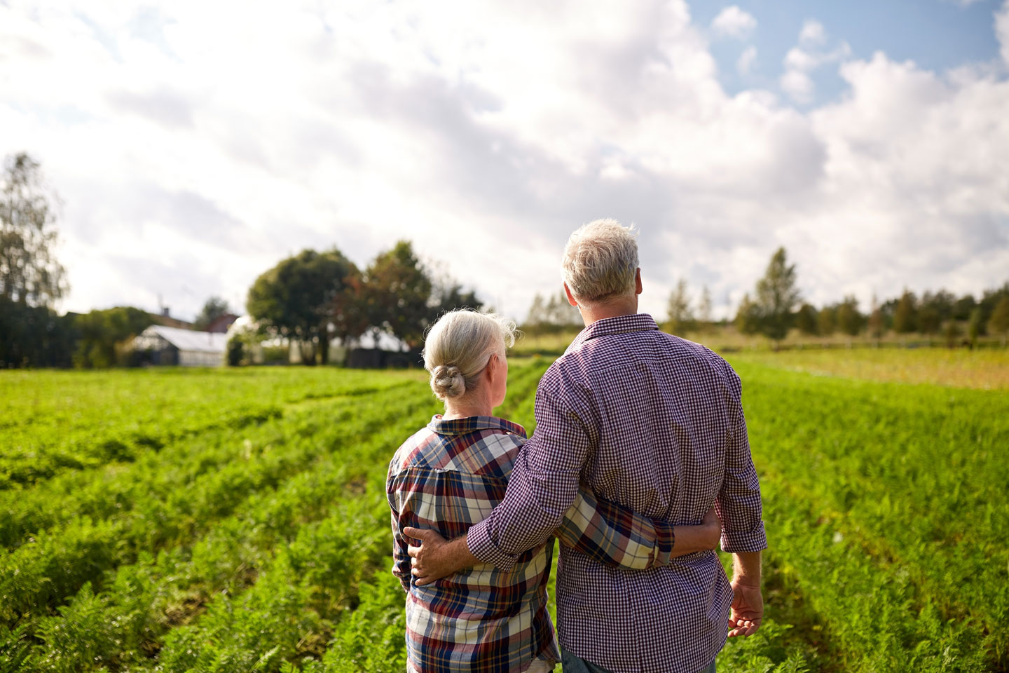 older couple staring out at their land and royalties large open green grass land couple peregrine energy partners