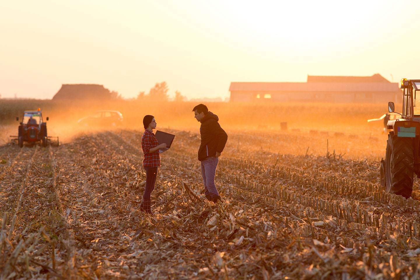 woman and man stand out amongst crops as trailers and sowing happens in background