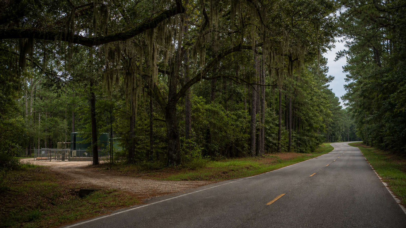 Pine-lined rural two-lane in Mississippi piney woods, Spanish moss draped from a live oak, a gravel turnoff leading to a fenced wellsite barely visible through the trees, Madison County.